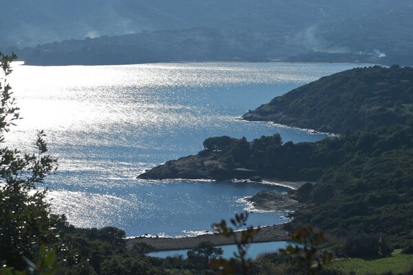 Foto van Casa Furrer Terranera - Vakantiehuis in Porto Azzurro - Untagged