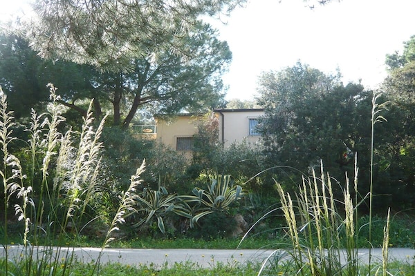 Foto van Casa Furrer Terranera - Vakantiehuis in Porto Azzurro - Untagged