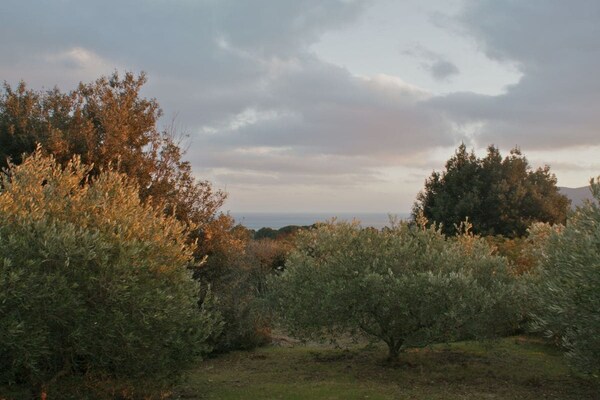Foto van Casa Furrer Terranera - Vakantiehuis in Porto Azzurro - Untagged