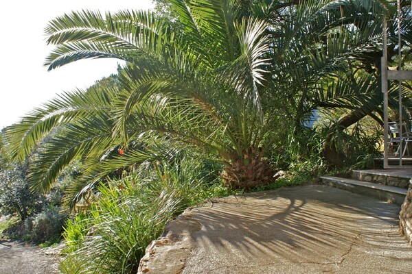 Foto van Casa Furrer Terranera - Vakantiehuis in Porto Azzurro - Untagged