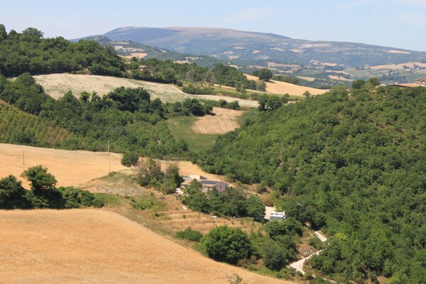 Foto van Carincone Fuoco - Vakantiehuis in Pergola (PU) - Untagged