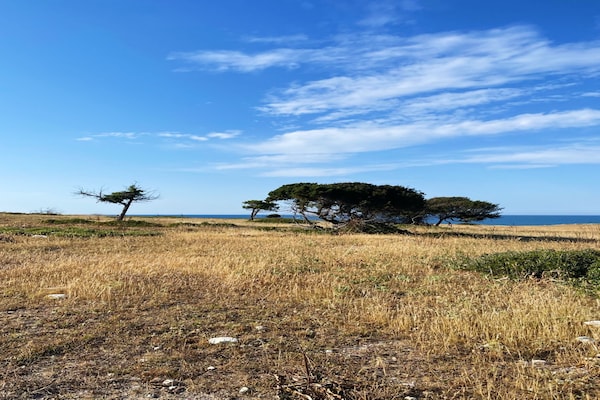 Foto van Appartement in het Gargano Park - Vakantiehuis in Vieste (FG) - AreaSummer20KM