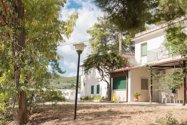 Foto van Appartement in het Gargano Park - Vakantiehuis in Vieste (FG) - ExteriorSummer