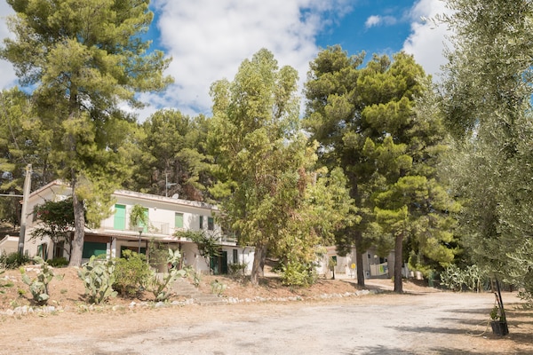Foto van Appartement in het Gargano Park - Vakantiehuis in Vieste (FG) - ExteriorSummer