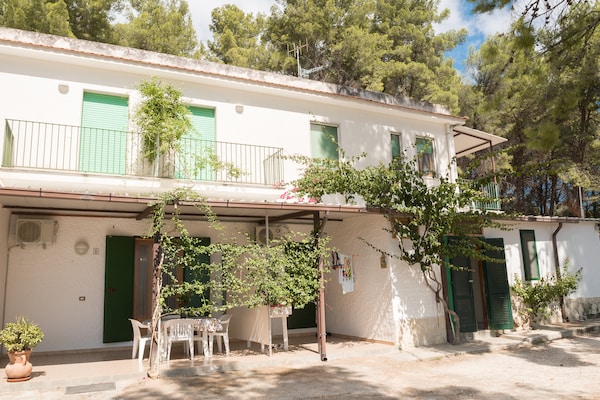 Foto van Appartement in het Gargano Park - Vakantiehuis in Vieste (FG) - ExteriorSummer