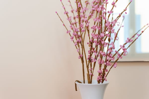 Foto van Retraite nabij de Ionische Zee - Vakantiehuis in reitani - Ambiance
