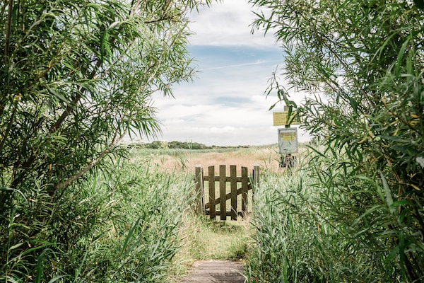 Foto van Kidz Lodge in Zon Zee Strand met speelplaats - Vakantiehuis in Callantsoog - AreaSummer5KM