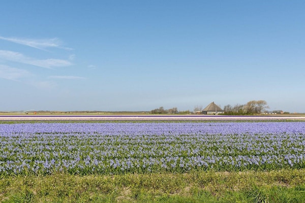 Foto van Villa in Julianadorp bij Strand - Vakantiehuis in Julianadorp aan Zee - AreaSummer5KM