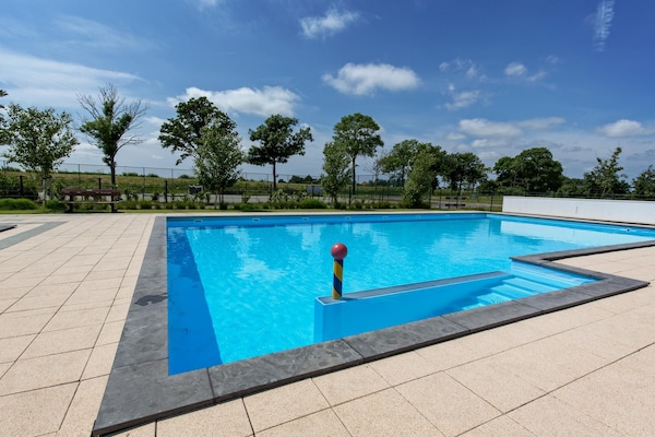 Foto van Natuuruitstapje met huisdieren in Drenthe - Vakantiehuis in West-Graftdijk - PoolOfHouse