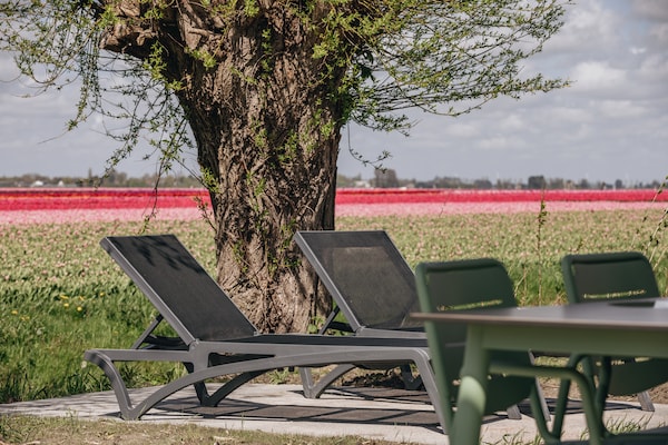 Foto van Lodge aan Markermeer met groen ontwerp - Vakantiehuis in Wijdenes - AreaSummer1KM