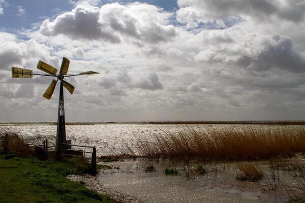 Foto van Lodge aan Markermeer met groen ontwerp - Vakantiehuis in Wijdenes - AreaSummer20KM