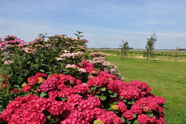 Foto van Blue Barn Callantsoog - Vakantiehuis in CALLANTSOOG - Untagged
