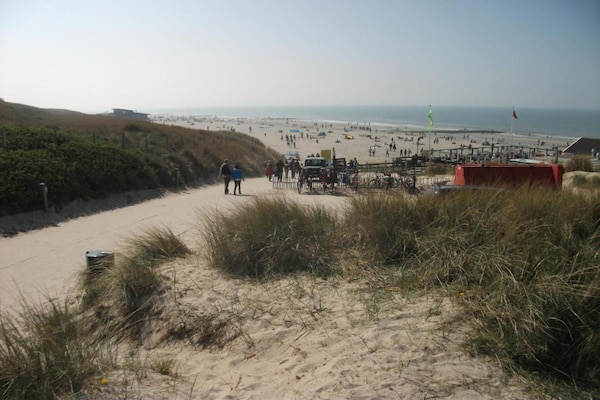 Foto van Moderne lodge vlakbij het strand - Vakantiehuis in Callantsoog - AreaSummer20KM