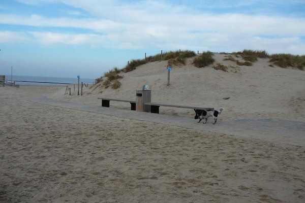 Foto van Appartement in Noord-Holland bij Strand - Vakantiehuis in Julianadorp aan Zee - AreaSummer20KM