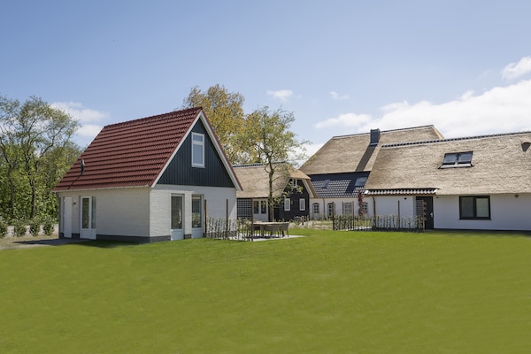 Foto van Comfortabele Texelse Bungalow - Vakantiehuis in De Cocksdorp Texel - ExteriorSummer