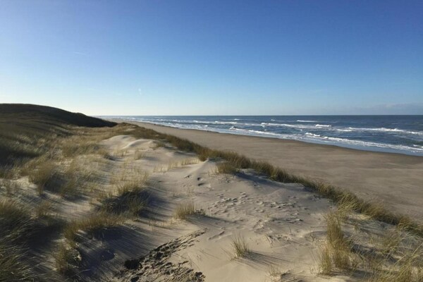 Foto van Ruime boerderij vlakbij het strand - Vakantiehuis in De Koog - AreaSummer20KM