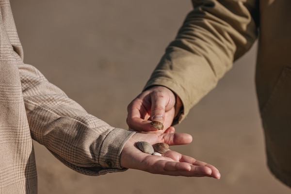 Foto van Appartement op Texel bij De Koog Centrum - Vakantiehuis in De Koog Texel - AreaSummer1KM