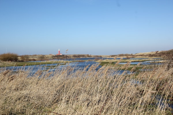 Foto van Bungalow op Texel bij Nationaal Park Duinen - Vakantiehuis in De Koog Texel - AreaSummer5KM