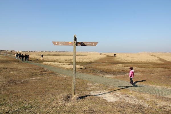 Foto van Bungalow op Texel bij Nationaal Park Duinen - Vakantiehuis in De Koog Texel - AreaSummer5KM