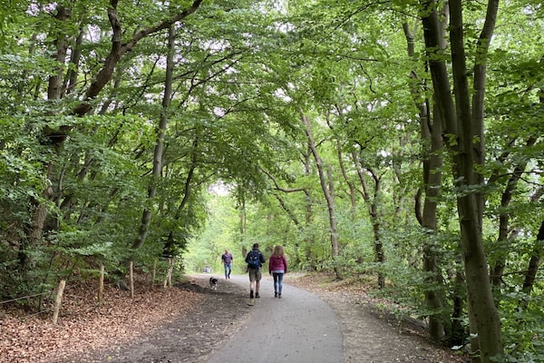 Foto van Boerderij in Schoorl met zwembad - Vakantiehuis in Schoorl - Untagged
