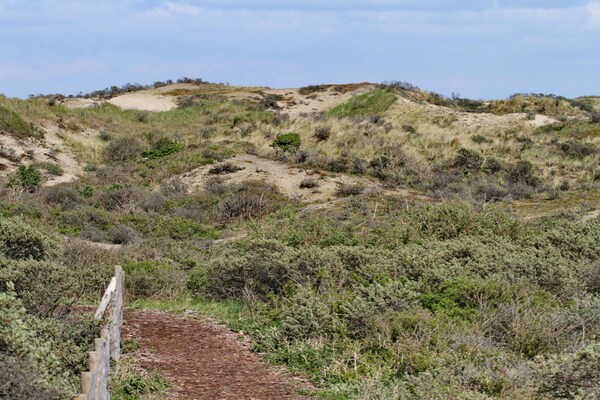 Foto van Chalet Duinpan Water 4 - Vakantiehuis in Noordwijk - Untagged