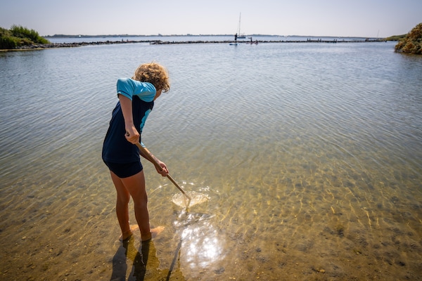 Foto van Retreat aan het meer met hangmat - Vakantiehuis in Ouddorp - Ambiance