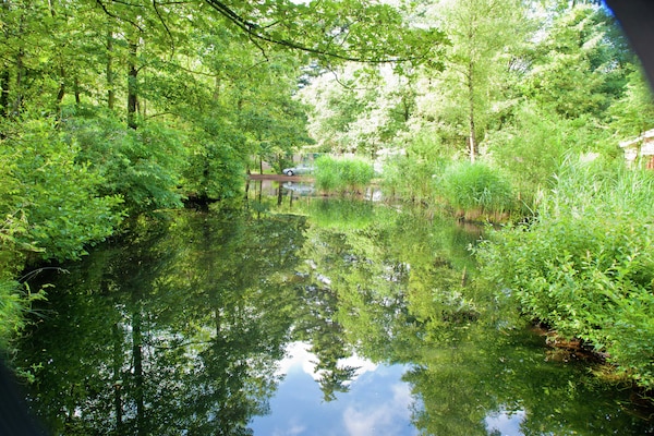 Foto van Bungalow bij Veluwezand - Vakantiehuis in Kootwijk - AreaSummer5KM
