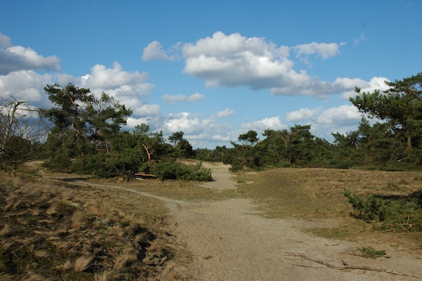 Foto van Villa in Nederland met ruime tuin - Vakantiehuis in Voorthuizen - AreaSummer20KM