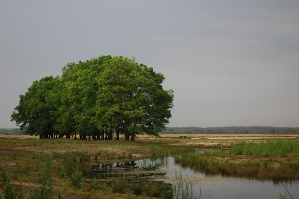 Foto van Villa in Nederland met ruime tuin - Vakantiehuis in Voorthuizen - AreaSummer20KM