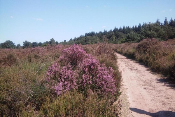 Foto van Villa in Nederland met ruime tuin - Vakantiehuis in Voorthuizen - AreaSummer20KM