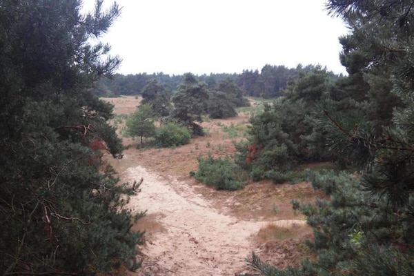 Foto van Villa in Nederland met ruime tuin - Vakantiehuis in Voorthuizen - AreaSummer20KM