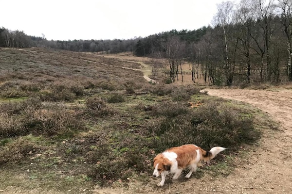 Foto van Romantische loft met tuinterras - Vakantiehuis in Ermelo - AreaSummer5KM