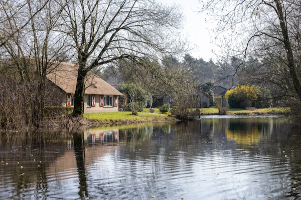 Foto van Bungalow in Veluwe vlakbij Harderwijk - Vakantiehuis in Putten - AreaSummer1KM