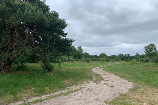 Foto van Bungalow in Veluwe vlakbij Harderwijk - Vakantiehuis in Putten - AreaSummer5KM
