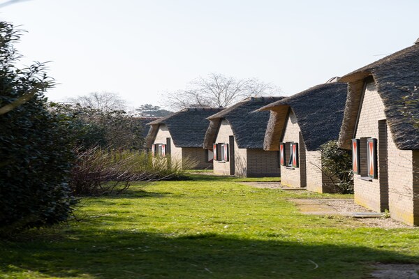 Foto van Bungalow in Veluwe vlakbij Harderwijk - Vakantiehuis in Putten - ExteriorSummer