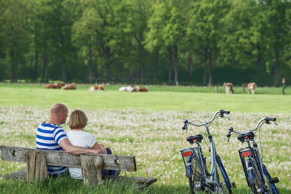 Foto van Familiehuis in Scherpenzeel bij natuurpaden - Vakantiehuis in Scherpenzeel - AreaSummer5KM