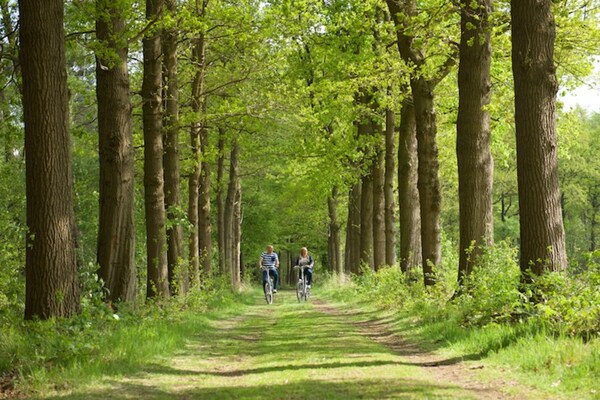 Foto van Villa in Scherpenzeel bij Veluwebos - Vakantiehuis in Scherpenzeel - AreaSummer5KM