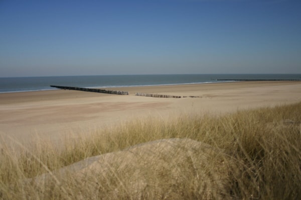 Foto van Boulevard de Wielingen 30 - Vakantiehuis in Cadzand - Untagged