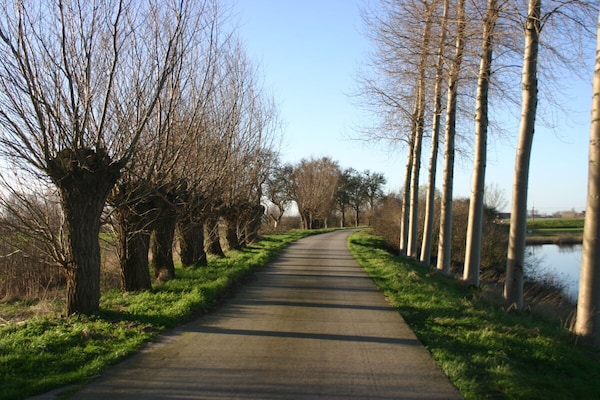 Foto van Boulevard de Wielingen 30 - Vakantiehuis in Cadzand - Untagged