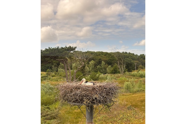 Foto van Huisdiervriendelijke boerderij - Vakantiehuis in Eede - AreaSummer5KM
