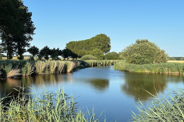 Foto van Huisdiervriendelijke boerderij - Vakantiehuis in Eede - AreaSummer5KM