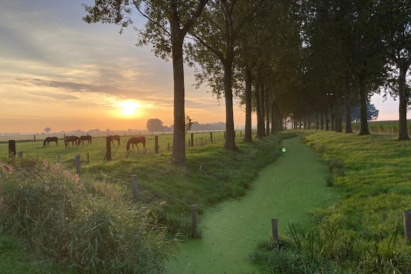 Foto van Huisdiervriendelijke boerderij - Vakantiehuis in Eede - AreaSummer5KM