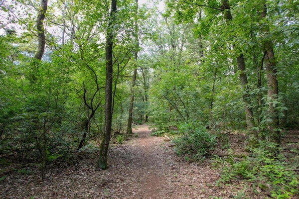 Foto van Lodge in Schaijk met Tuinterras - Vakantiehuis in Schaijk - AreaSummer5KM