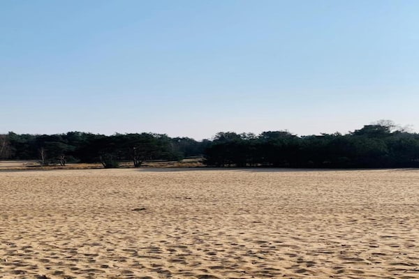 Foto van Lodge in Schaijk bij Vakantiepark - Vakantiehuis in Schaijk - AreaSummer5KM