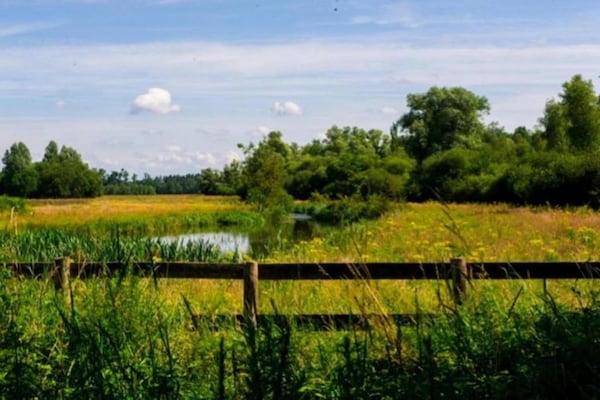 Foto van Villa in Schaijk bij Bosrijk Vakantiepark - Vakantiehuis in Schaijk - AreaSummer5KM