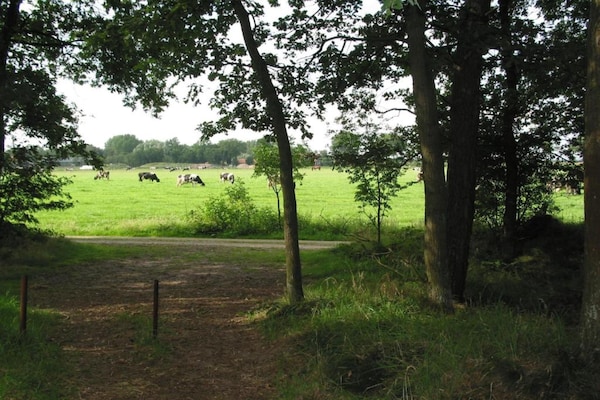 Foto van Villa in Schaijk bij Bosrijk Vakantiepark - Vakantiehuis in Schaijk - AreaSummer5KM