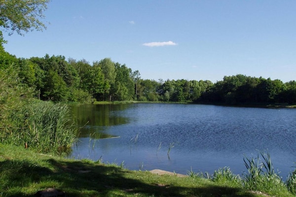 Foto van Ruime villa in bospark - Vakantiehuis in Schaijk - AreaSummer5KM