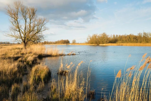 Foto van Fraai chalet met airco op een vakantiepark - Vakantiehuis in Veldhoven - AreaSummer20KM