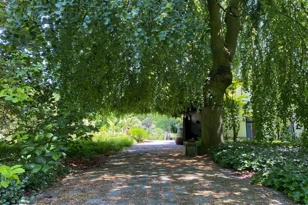 Foto van Dorpswoning in Leende bij Sterrenrestaurant - Vakantiehuis in Leende - GardenSummer
