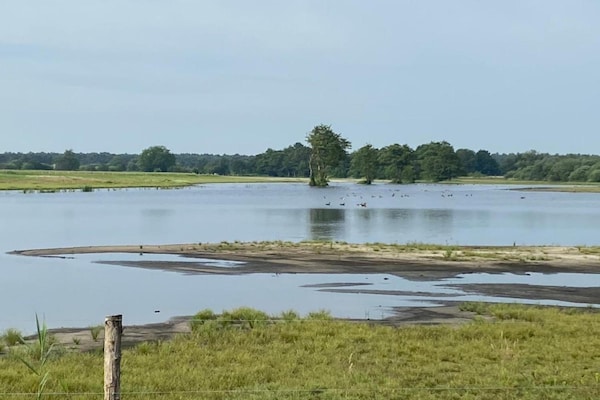 Foto van Dorpswoning in Leende bij Sterrenrestaurant - Vakantiehuis in Leende - AreaSummer20KM
